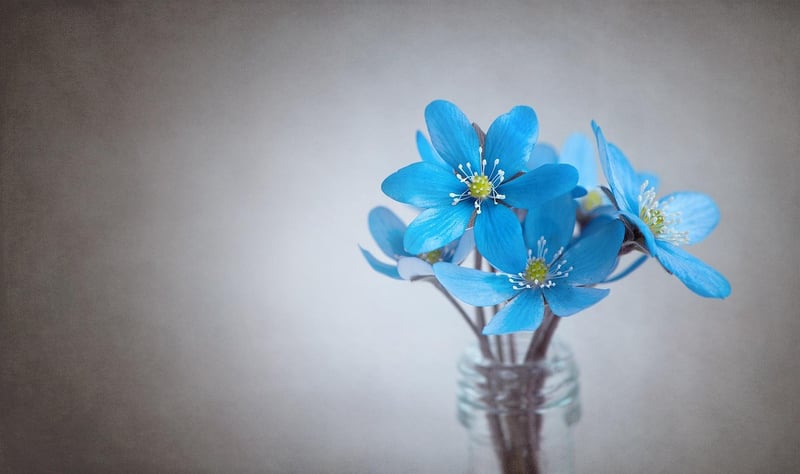 Wildflower Bouquet